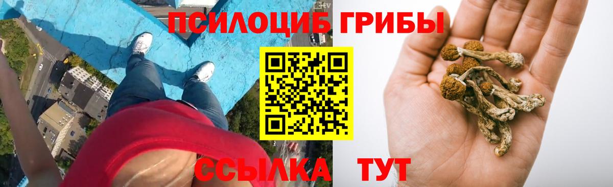 Галлюциногенные грибы прущие грибы  Вход с VPN  Ревда  Галлюциногенные грибы прущие грибы 